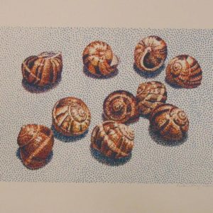 Escargot with shells serigraph