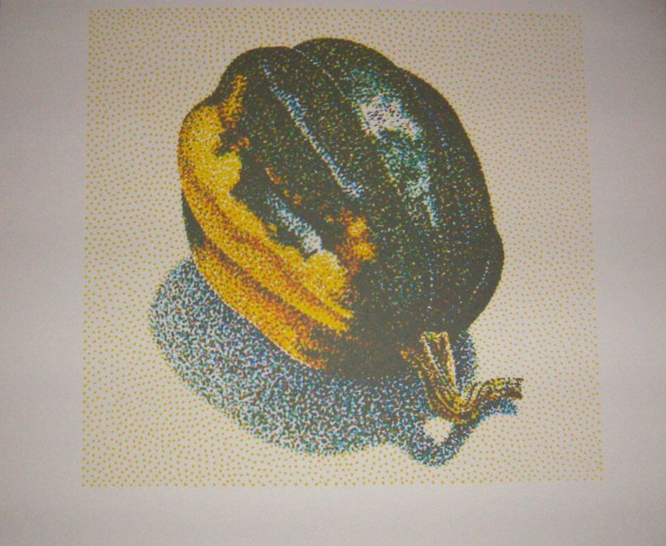 acorn squash serigraph