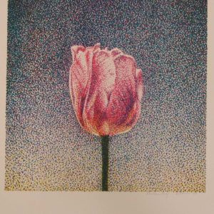 Tulip 20x20 serigraph by Jerry Wilkerson 1990